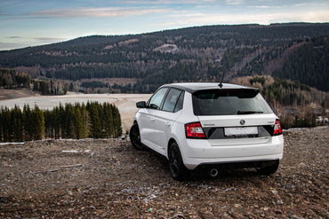Skoda Fabia Edition R5 - Fox Performance Auspuff
