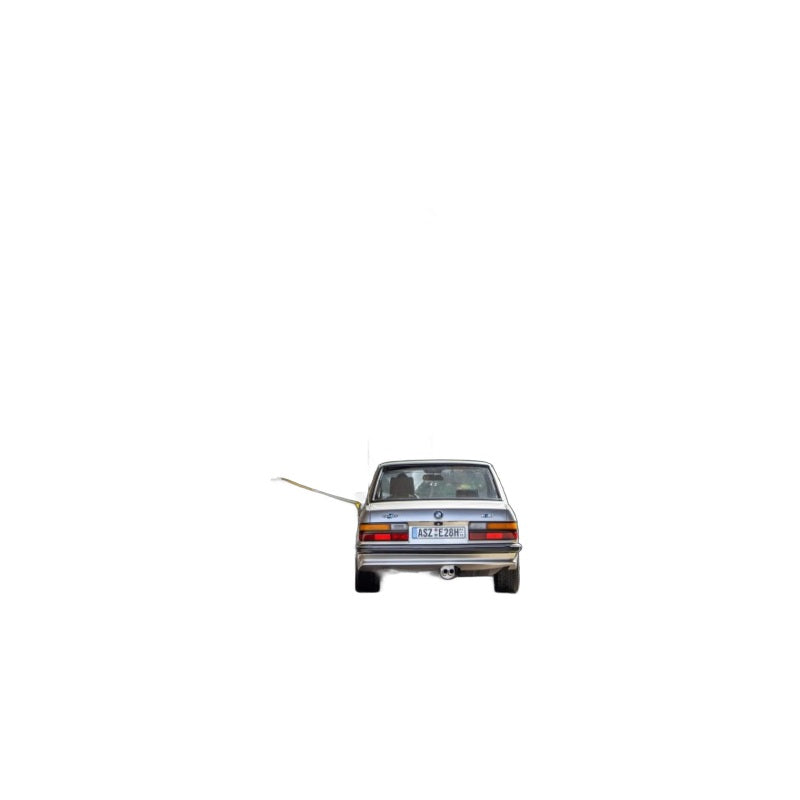 BMW 525E - Fox Performance Auspuff