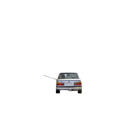 BMW 525E - Fox Performance Auspuff