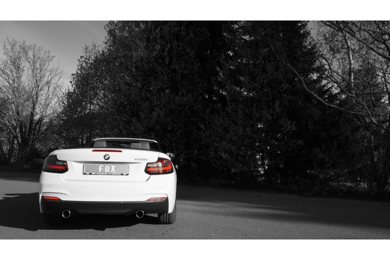 BMW 220i - Fox Duplex Performance Auspuff