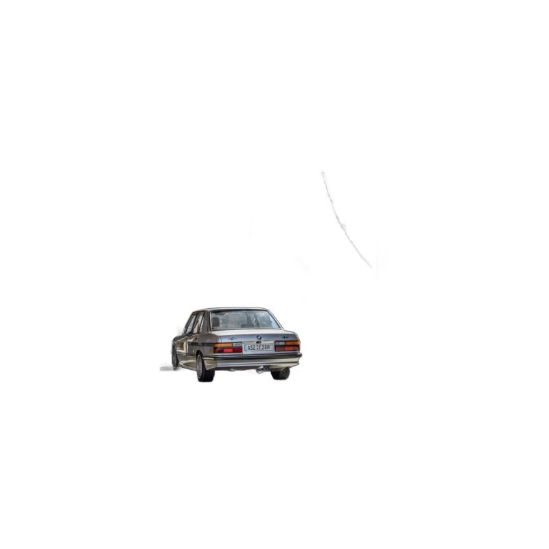 BMW 525E - Fox Performance Auspuff
