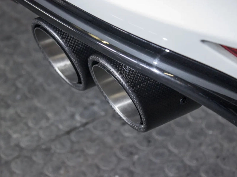 EGO-X 101mm Echt Carbon Endrohr mit Kugelkopf-Prinzip