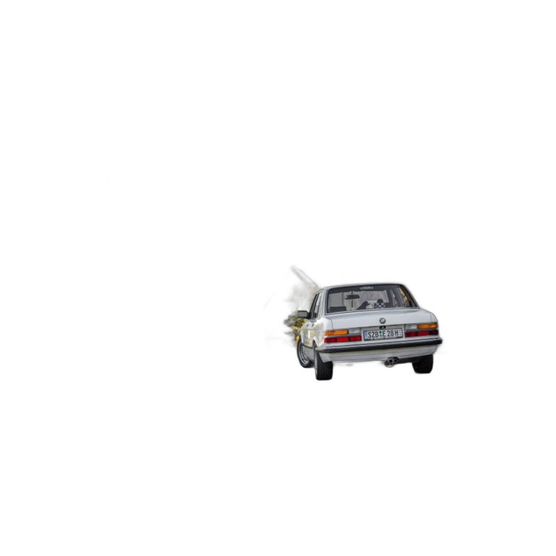BMW 525E - Fox Performance Auspuff