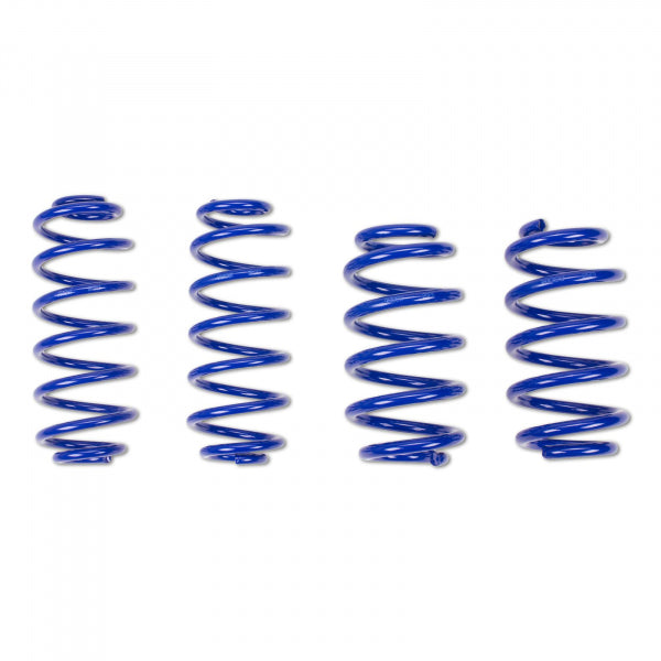Audi 100 Avant - AP Sportfedern (40|--)